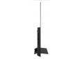 PANASONIC TV55Z80AEZ  TV OLED.JPG